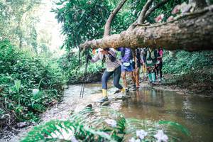 BIB: 
                            <button type="button" onclick="openModal(25461725)" class="btn btn-primary btn-sm float-right btn-popup" data-toggle="modal" data-target=".modal-high-quality">
                        <i class="fas fa-shopping-cart"></i> Add to Cart
                    </button>
                                            <button type="button" onclick="isThisMe(25461725, true)" class="btn btn-success btn-sm float-right btn-popup btn-isme hidden" data-toggle="tooltip" data-placement="bottom" title="นี่คือรูปของคุณใช่ไหม คลิกที่นี่เพื่อเอาเข้าอัลบั้ม">
                        <i class="fas fa-plus"></i> Add to album
                    </button>
                    <button type="button" onclick="isThisMe(25461725, false)" class="btn btn-warning btn-sm float-right btn-popup btn-isnotme hidden">
                        <i class="fas fa-ban"></i> Remove from album
                    </button>